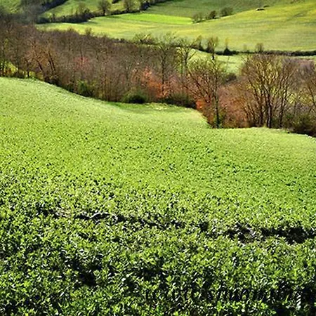 Al Castello Di Hotel 2*
