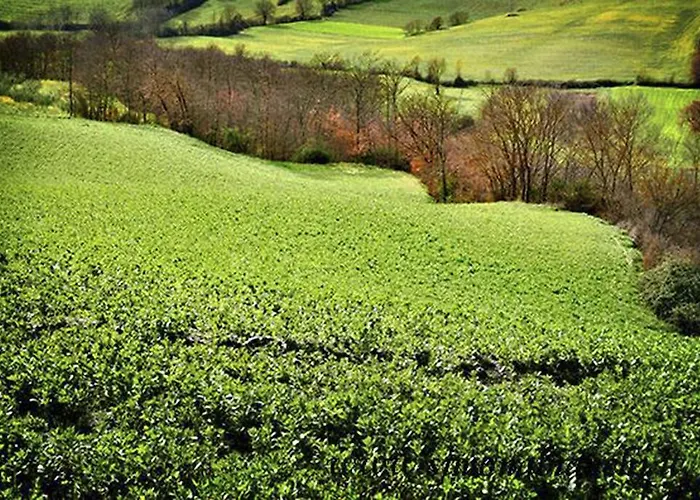 Al Castello Hotel 2*